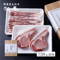 熟成肉ギフト　国産無菌豚　熟成豚肉セット　箱付　750ｇ前後　　 